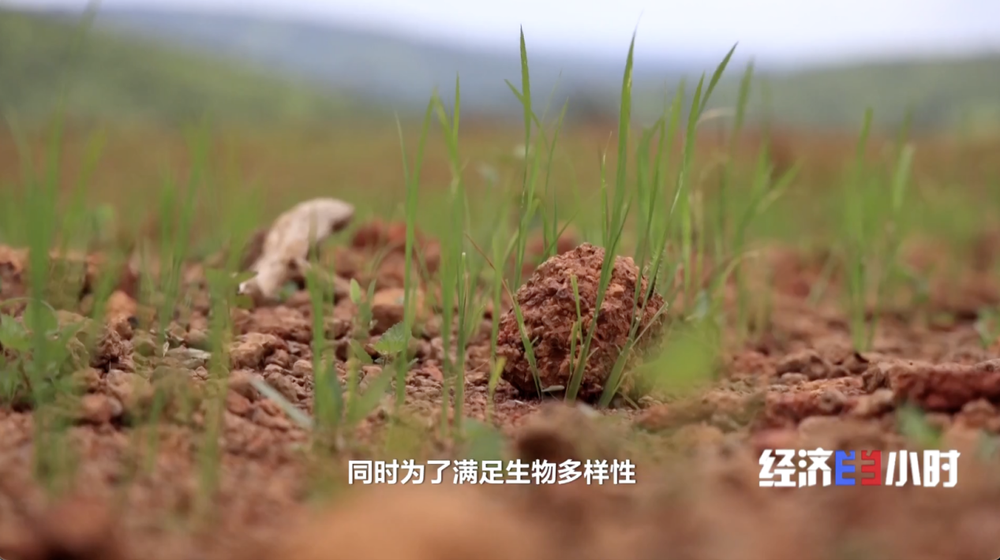 “上新” 投资规模稳居全球第三凯发K8旗舰店APP中国智造(图14)